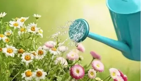 过期的啤酒,用处竟然也这么多?(图3)