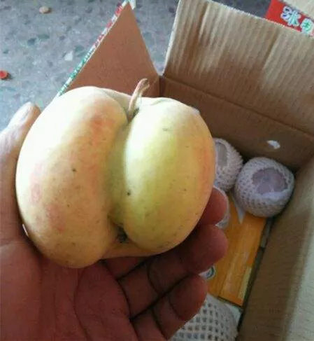 最脏蔬果排名出来了,第一名我们经常吃!(图5)