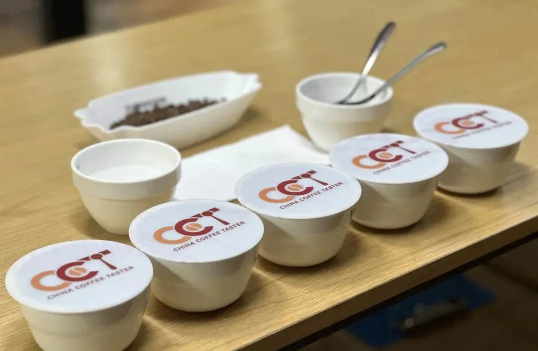 咖啡品鉴师（CCT）培训认证项目全国开启(图5)
