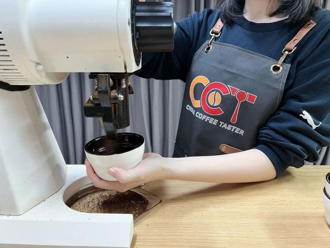 咖啡品鉴师（CCT）培训认证项目全国开启(图7)