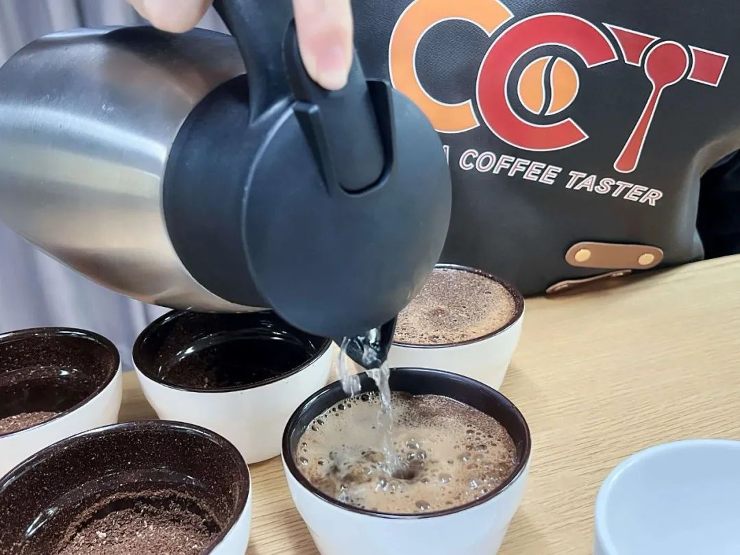 咖啡品鉴师（CCT）培训认证项目全国开启(图6)